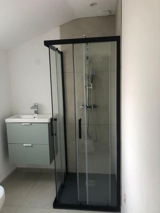 Appartement Cosy-Grand Stade Villeneuve D'Ascq Lezennes Buitenkant foto